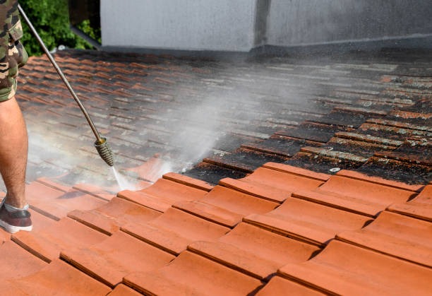 Roof Power Washing Services in Ofallon, IL